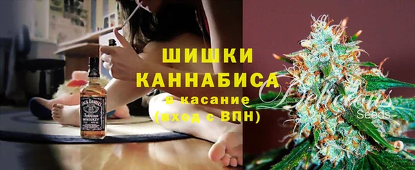 ГАЛЛЮЦИНОГЕННЫЕ ГРИБЫ Алзамай