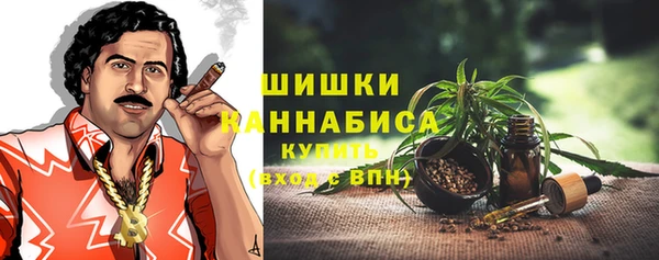 ГАЛЛЮЦИНОГЕННЫЕ ГРИБЫ Алзамай