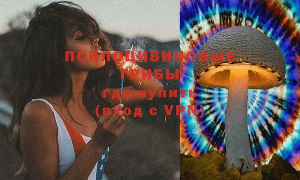 синтетический гашиш Алексин