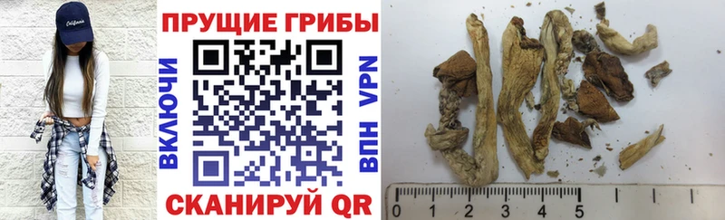 Псилоцибиновые грибы прущие грибы  Оленегорск 